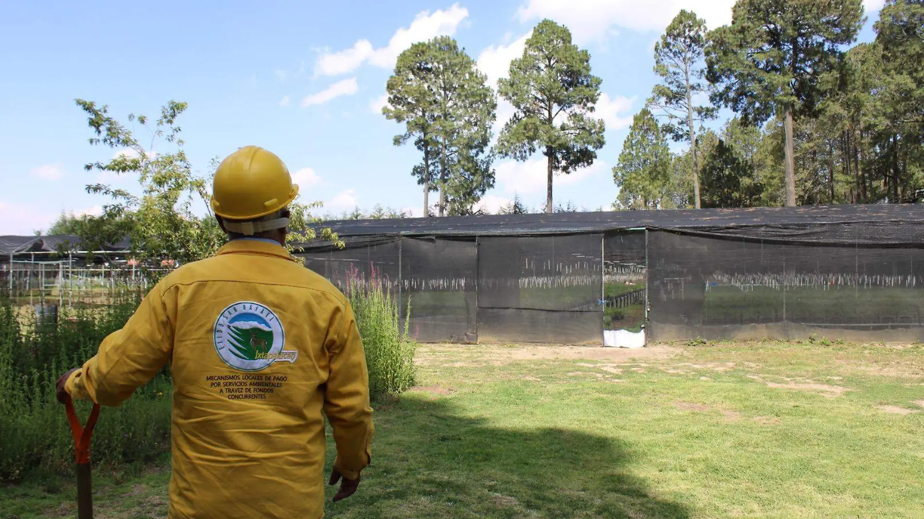 Tlahuapan cuenta con su vivero propio para reforestar su bosque